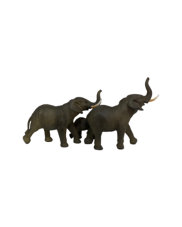 Família Elefante com os dentes expostos e trombas para cima caminhando com o filhote ao lado