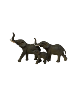Família Elefante