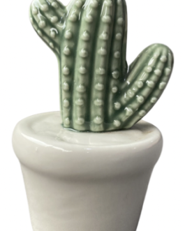 Mini Cacto Verde no vaso branco, em cerâmica